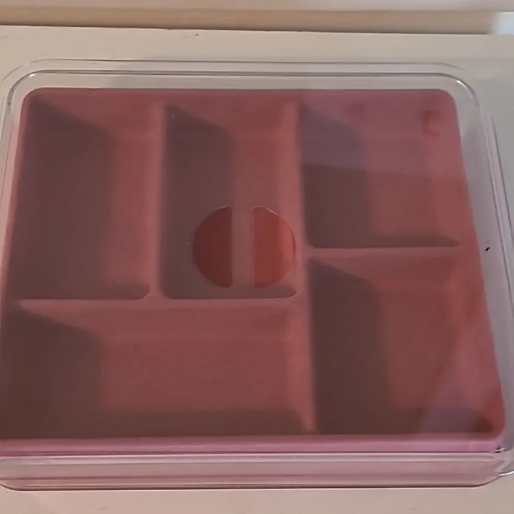 Clear and Pink Divided Storage Box